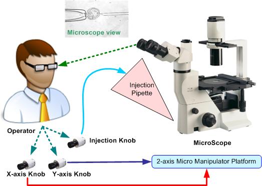 Manual Micromanipulator Cell Injection System Drawbacks Low