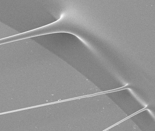 POLYFIBERS DRAWN WITH SHARP OR BLUNT TIPS AFM Tip