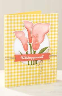 item used: the Lasting Lily Stamp Set (p. 19)! LASTING LILY CARDS Photopolymer 151095 $161.