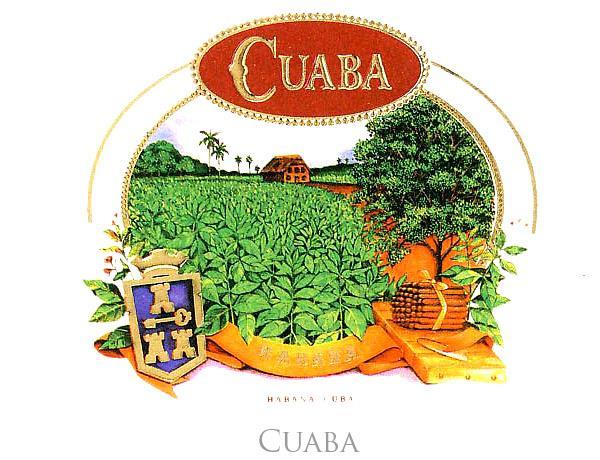 Cuaba Divinos 80 1 Medium Bodied - Tangy fruity sweetness, With its strong woody aftertaste, Salamones 270 2 Full bodied from the start, lead by earthy flavours, An excellent cigar for an entire