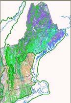 TNC - NEAFWA Wildlife Classification & Mapping Project NLCD # of systems 21 - Developed, Open Space 2 22 - Developed, Low Intensity 2 23 - Developed, Medium