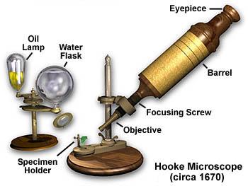 Light microscope In 1590 F.H Janssen & Z.Janssen constructed the first simple compound light microscope.