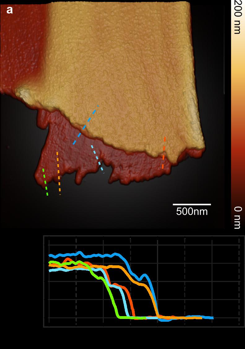 2.3 Stepped topography profiles of the fractured silk Similarly, five section profiles were chosen in the AFM image featured in Figure S4 (AFM image with lower