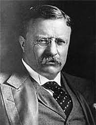 Teddy Roosevelt Quote "Be practical as well as generous in your ideals. Keep your eyes on the stars, but remember to keep your feet on the ground.
