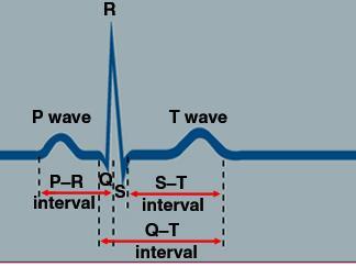 Vector diagrams Vectors are used to describe depolarization and repolarization events Vectors are arrows which show two things: