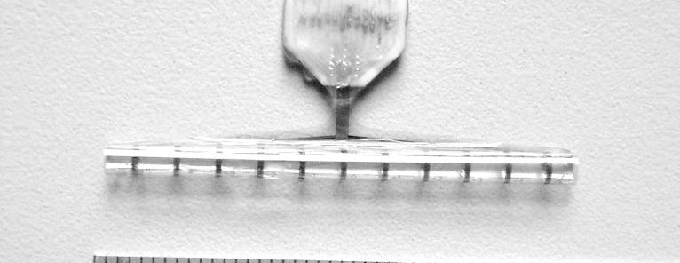 Sputtered platinum electrodes Etched using