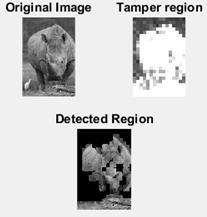 of features from the decomposed Figure 6 presented the experimental analysis performed on images.