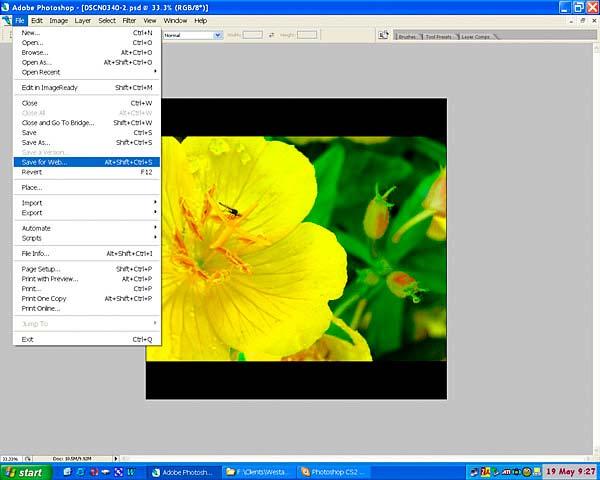 8 1 - After completing work on your image, which includes resizing to 1920x1920 pixels and saving in an uncompressed format,