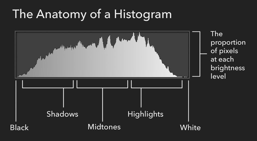 I M A G E P L AY B A C K S E T T I N G S LCD Screen / Information Display - Histogram What is a Histogram Graphical representation of the tonal values of image Shows brightness of tones ranging from