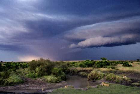 On several evenings spectacular storm clouds blew in over the Masai Mara from Lake Victoria.