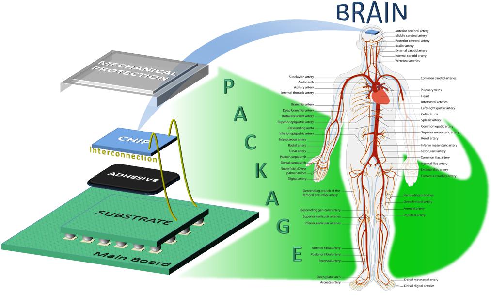The fundamental part of today s microelectronics is the semiconductor chip, which in comparison with human body seems to be something like brain (Figure 3).