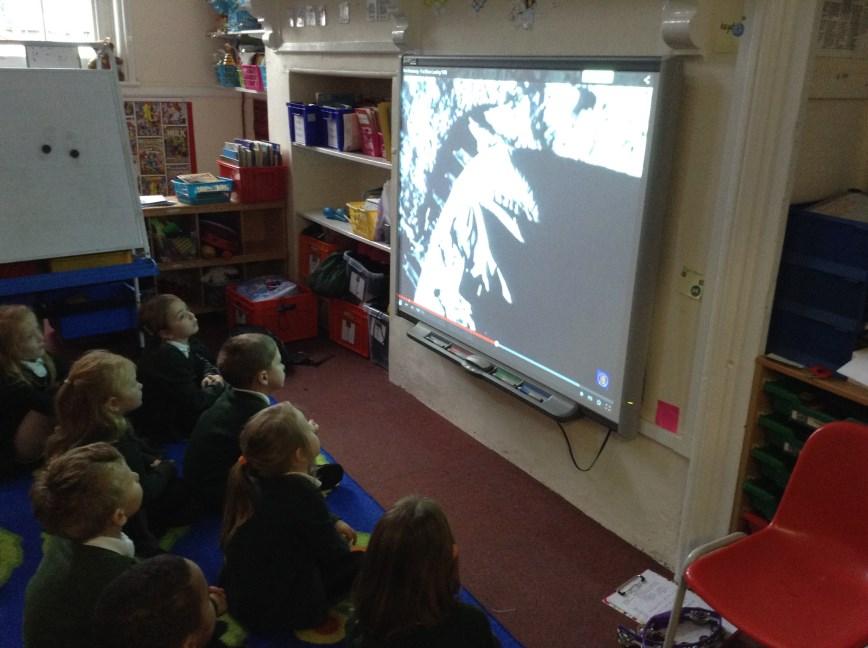 Man on the moon! Bumblebees and Hedgehogs really enjoyed their recent cinema experience by watching the first moon landing.