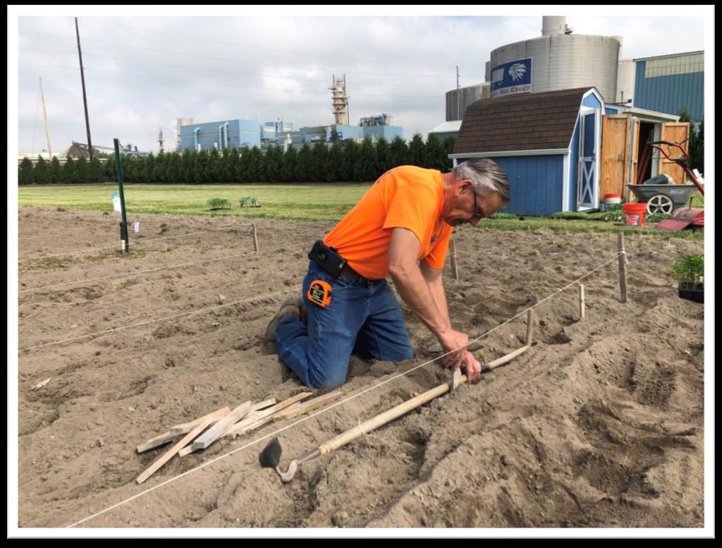 Ray Van Driessche works in the United Way of Bay County Community Garden that sits in the shadow of Michigan Sugar Company s factory in Bay City. Steadfast advocate Ray s resume speaks for itself.