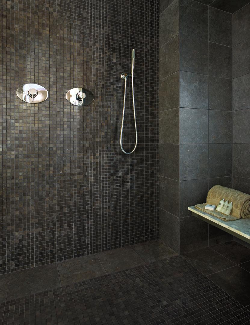Products featured in photo above: Wall: S023 Champagne 12" x 12",