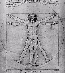 Kinesthetics Anatomy Michelangelo Buonarroti: 1475-1564 Architect, Sculptor, Poet &