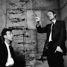 Big Data is not unlike the discovery of a DNA for the World In mid-march 1953 Watson and Crick deduced the double helix structure of DNA.