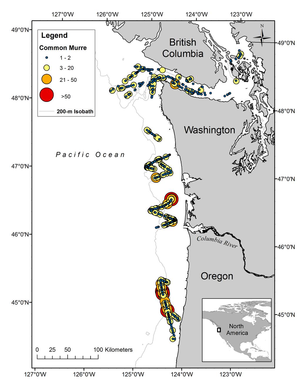 Figure 1. Distribution of common murres, 16 February 06 March 2012.