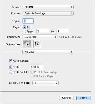 Note: The print window may look different, depending on the version of Mac OS X and the application you are using. 5. Select the Copies and Pages settings as necessary.