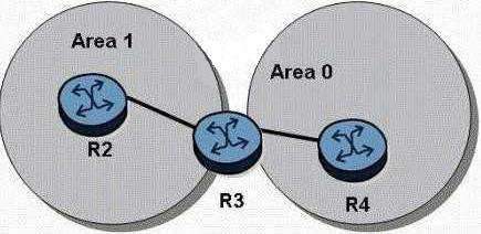 B. OSPF uses UDP, so the protocol number is 17. C. OSPF does not use IP. D. OSPF has its own protocol number of 89.