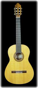 The Acoustic uses steel strings, meaning all of the strings are some sort of metal as apposed to nylon.