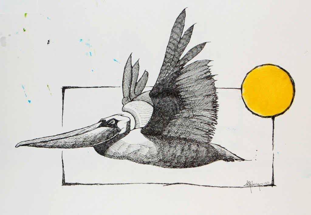 CHILLUSTRATION Pelican ink