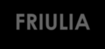 FRIULIA GROUP FRIULIA Subsidiary companies Strategic subsidiary companies FINEST 73,23% BIC INCUBATORI FVG 100% INTERPORTO CERVIGNANO 81,63% AUTOVIE VENETE 72,97% INTERPORTO DI TRIESTE 39,99% ALPE