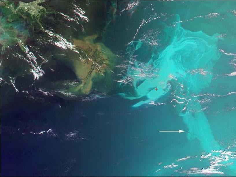 Satellite monitoring Mexican Gulf 2010 oil spill