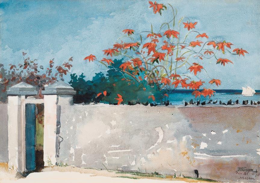 Watercolor Title: A Wall, Nassau Artist: Winslow Homer Date: 1898 Source/Museum: Metropolitan Museum of Art, New York. Amelia B.