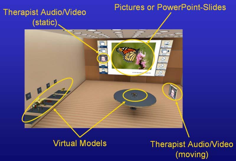 Future Work::Cybertherapy Collaborative Cybertherapy: Goal: VR based system for the treatment of various disorders and