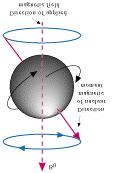 Figure 20: Rotation of a nucleus around the external magnetic field. Figure 21: Precession of magnetic moment due to EM radiation.