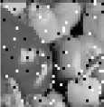 (a) (b) (c) (d) (e) (f) Figure 1. Impulse Noise Detection for the image Peppers with 5% and 70% of impulse noise.