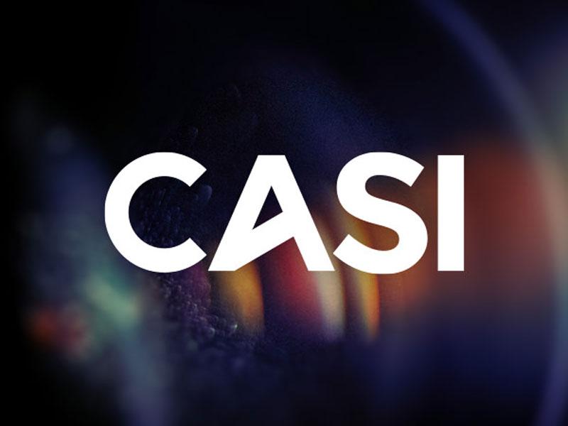 CASI-F: a common framework for the assessment