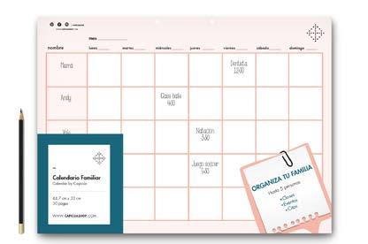 large family planner Ensure your home and family are organized throughout 2015 with Family Planner - Up to 5 family members -