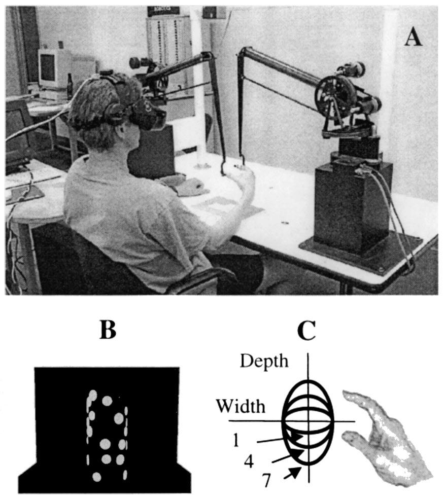 J.E. Atkins et al. / Vision Research 41 (2001) 449 461 451 Fig. 1. (A) A subject using the visuo-haptic virtual reality experimental apparatus.