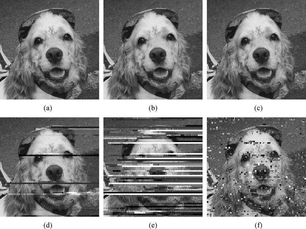 418 IEEE TRANSACTIONS ON IMAGE PROCESSING, VOL. 19, NO. 2, FEBRUARY 2010 Fig. 7. Dog image results for different power allocation schemes at 10-dB SNR. (a) Original unquantized image.