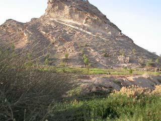 Like a bit of parkland mixed with Wadi habitat, it was greener than usual due to the relatively