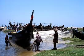 Social status of fishermen The majority of the