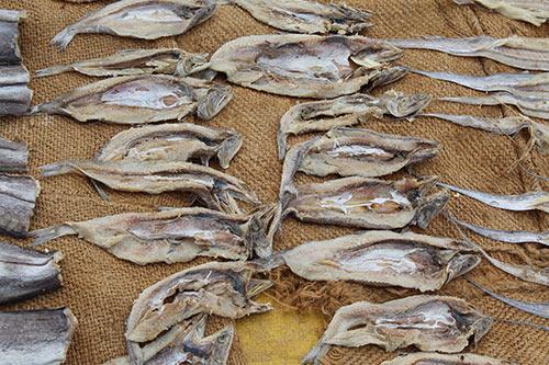 Dry fish industry There are 7 major markets in Kerala.