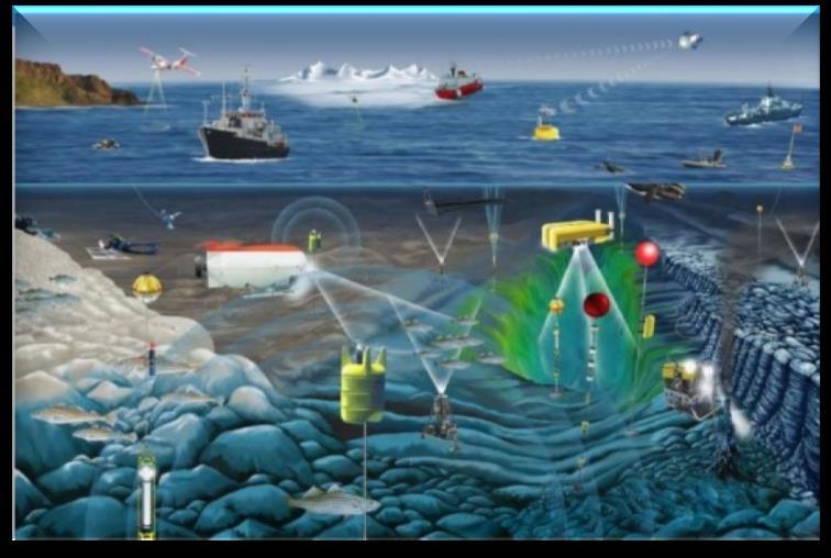 Solution Canada s ocean science community, led and supported by Fisheries and Oceans Canada (DFO), in partnership with the Marine Environmental Observation, Prediction and Response Network (MEOPR),