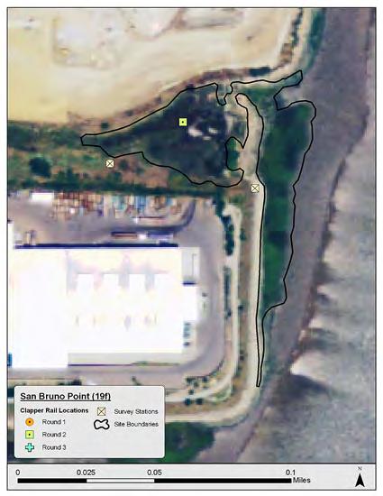 San Bruno Point (19f) WEST SAN FRANCISCO BAY The site of San Bruno Point (Figure 31, Table 31) is actually a small inlet of marsh habitat squeezed between a recycling plant to the south and a
