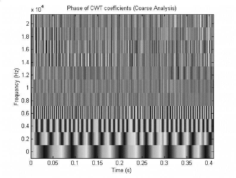 (e) Modulus of the CWT: fine analysis.
