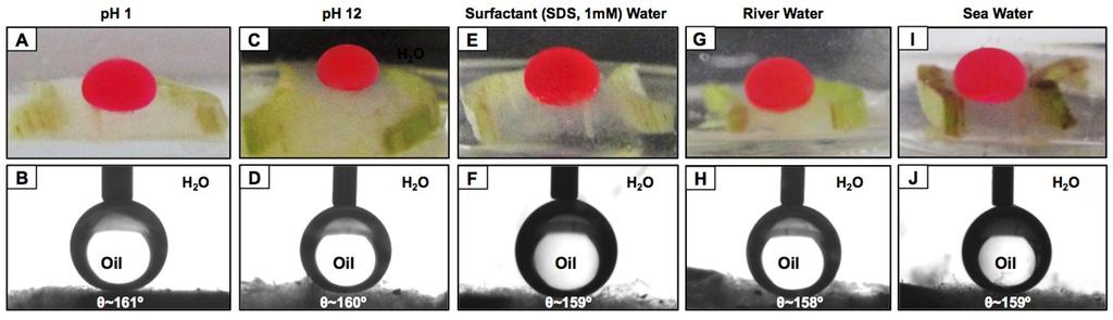 effect of this gradual heating of the aqueous phase on the oil wettability of the mucilage was examined by contact angle measurements and digital images.