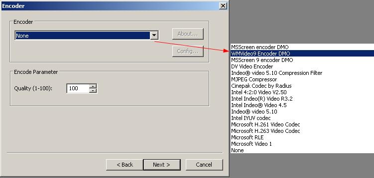 4. Set the desired Display Information as show in the following dialog. They are Title: The Title of the capture video.