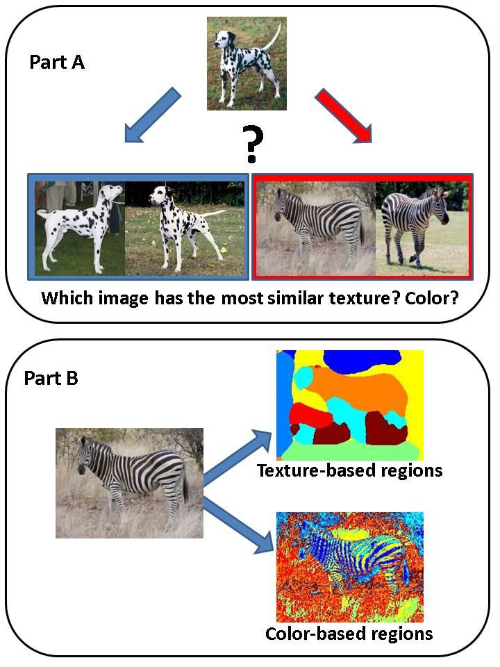 II. Prgramming prblem: texture-based image matching and segmentatin [70 pints] The gal is t use texture features t segment r cmpare images.