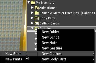 Step 2: Second Life Creating a New Shirt You are