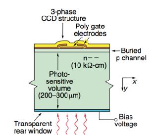 CCD Detector doped, depleted Si substrate converts X-rays to charge transfer charge across device to