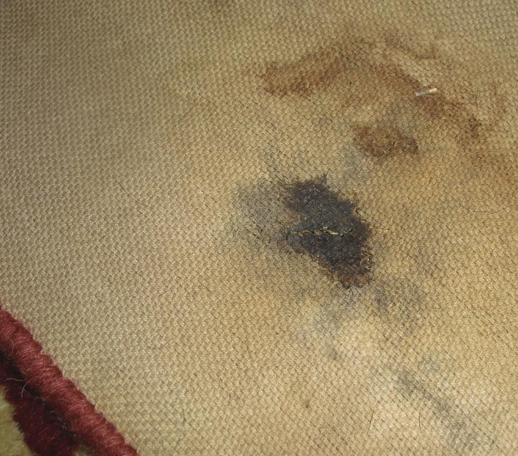 ORIENTAL & FINE AREA RUG TRAINING BOOKLET DRY ROT Dry Rot is a condition in which the foundation fibers of an area rug have begun to deteriorate, becoming brittle and coarse.