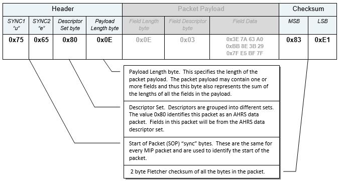The packet payload section contains one or