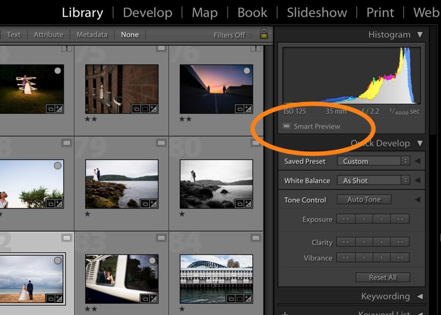 3) Significantly Speed up Lightroom There are many tips to help speed up Lightroom, but I ve not come across one that makes such a huge difference to the Develop module as using Smart Previews.