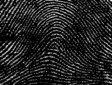 Fingerprints: 75 Billion-Class Recognition Problem Anil Jain